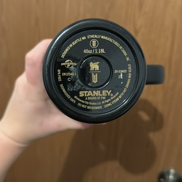 Stanley “Wicked” collaboration. Elphaba - Picture 6 of 6